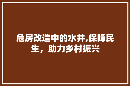危房改造中的水井,保障民生，助力乡村振兴