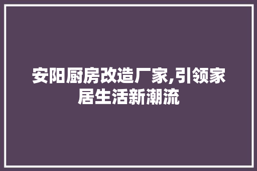 安阳厨房改造厂家,引领家居生活新潮流