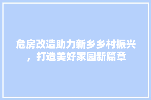危房改造助力新乡乡村振兴，打造美好家园新篇章