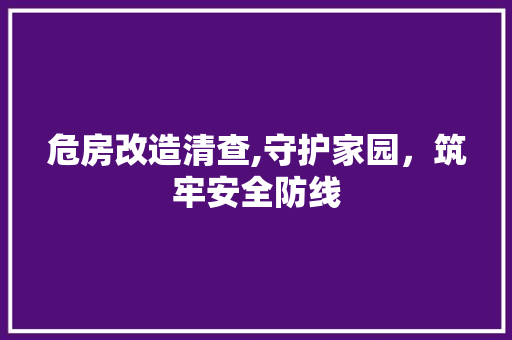 危房改造清查,守护家园，筑牢安全防线