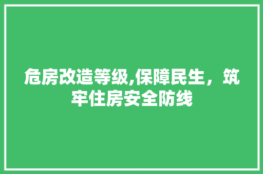 危房改造等级,保障民生，筑牢住房安全防线