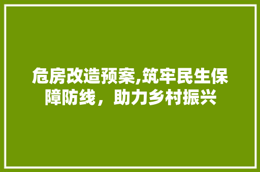 危房改造预案,筑牢民生保障防线，助力乡村振兴