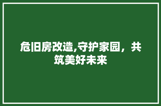 危旧房改造,守护家园，共筑美好未来