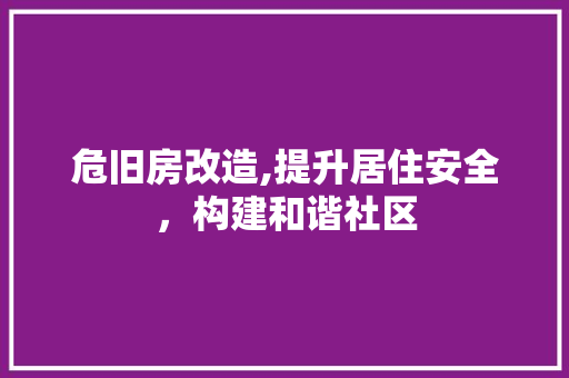 危旧房改造,提升居住安全，构建和谐社区