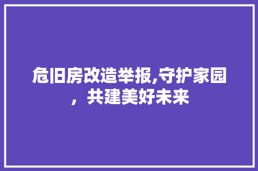 危旧房改造举报,守护家园，共建美好未来