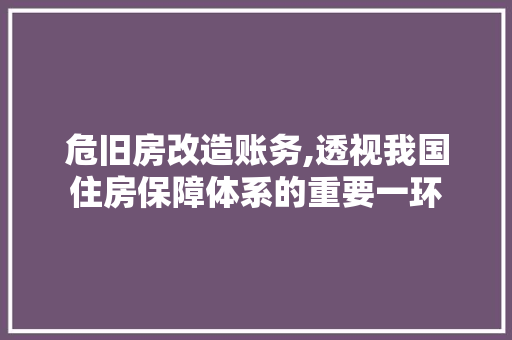 危旧房改造账务,透视我国住房保障体系的重要一环