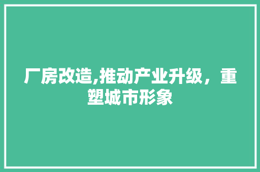 厂房改造,推动产业升级，重塑城市形象