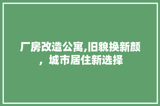 厂房改造公寓,旧貌换新颜，城市居住新选择