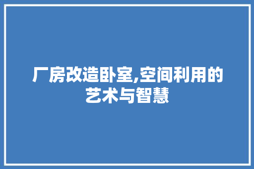 厂房改造卧室,空间利用的艺术与智慧