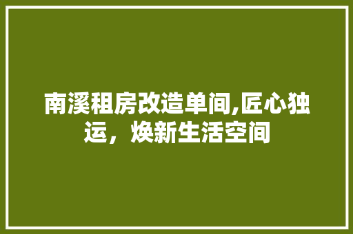 南溪租房改造单间,匠心独运，焕新生活空间