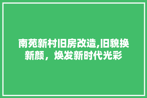 南苑新村旧房改造,旧貌换新颜，焕发新时代光彩