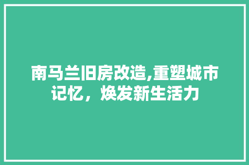 南马兰旧房改造,重塑城市记忆，焕发新生活力