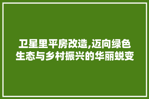 卫星里平房改造,迈向绿色生态与乡村振兴的华丽蜕变