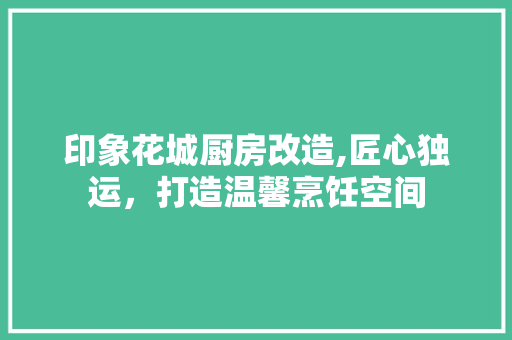 印象花城厨房改造,匠心独运，打造温馨烹饪空间