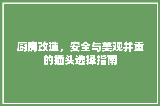 厨房改造，安全与美观并重的插头选择指南
