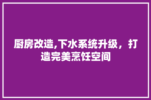 厨房改造,下水系统升级，打造完美烹饪空间