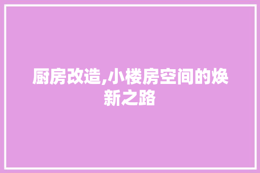 厨房改造,小楼房空间的焕新之路
