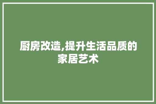 厨房改造,提升生活品质的家居艺术