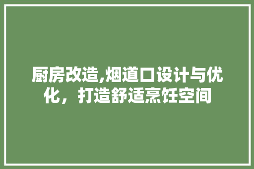 厨房改造,烟道口设计与优化，打造舒适烹饪空间