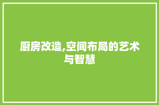 厨房改造,空间布局的艺术与智慧