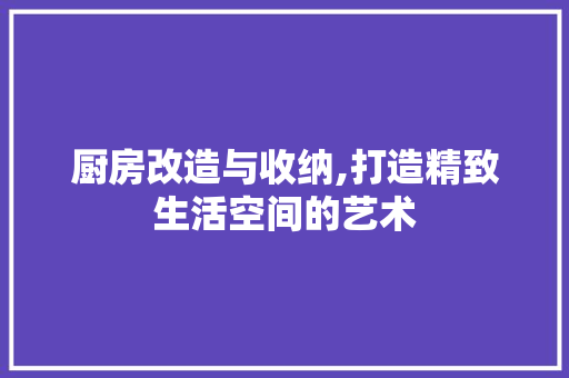 厨房改造与收纳,打造精致生活空间的艺术
