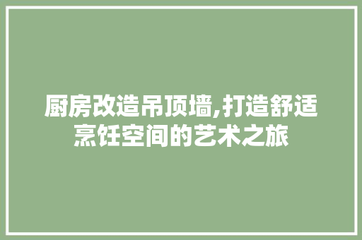 厨房改造吊顶墙,打造舒适烹饪空间的艺术之旅