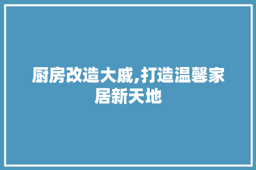 厨房改造大戚,打造温馨家居新天地