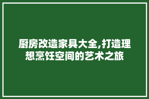 厨房改造家具大全,打造理想烹饪空间的艺术之旅