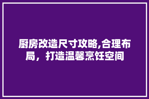 厨房改造尺寸攻略,合理布局，打造温馨烹饪空间