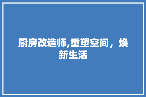 厨房改造师,重塑空间，焕新生活