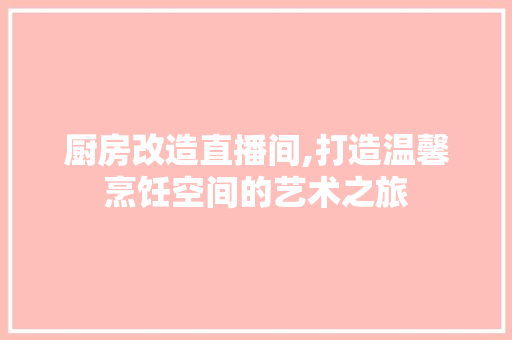 厨房改造直播间,打造温馨烹饪空间的艺术之旅