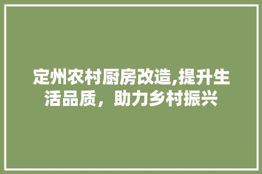 定州农村厨房改造,提升生活品质，助力乡村振兴