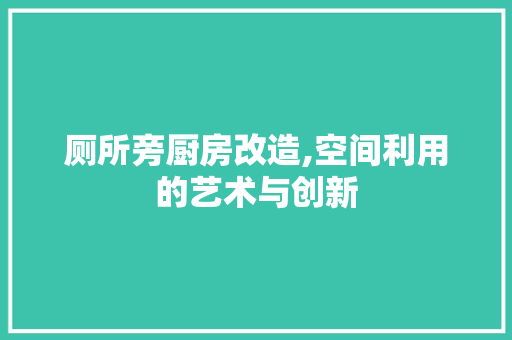 厕所旁厨房改造,空间利用的艺术与创新