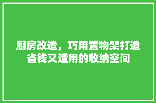 厨房改造，巧用置物架打造省钱又适用的收纳空间
