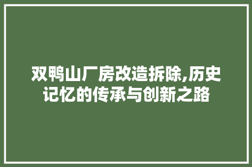双鸭山厂房改造拆除,历史记忆的传承与创新之路