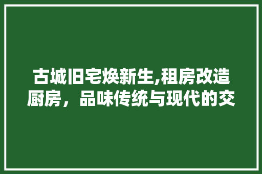 古城旧宅焕新生,租房改造厨房，品味传统与现代的交融