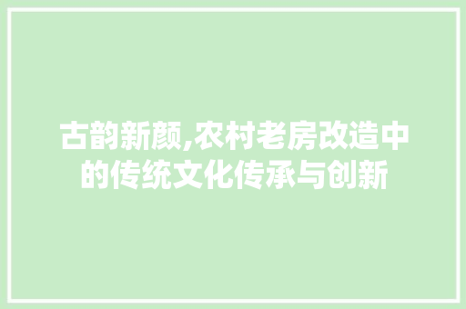 古韵新颜,农村老房改造中的传统文化传承与创新