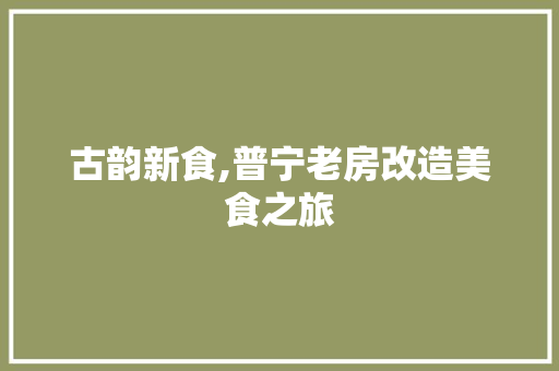 古韵新食,普宁老房改造美食之旅
