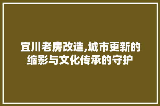 宜川老房改造,城市更新的缩影与文化传承的守护