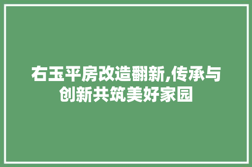 右玉平房改造翻新,传承与创新共筑美好家园