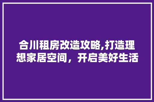 合川租房改造攻略,打造理想家居空间，开启美好生活新篇章