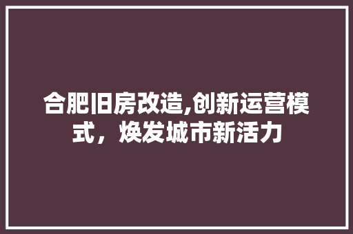 合肥旧房改造,创新运营模式，焕发城市新活力