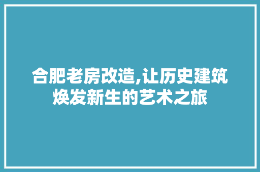 合肥老房改造,让历史建筑焕发新生的艺术之旅