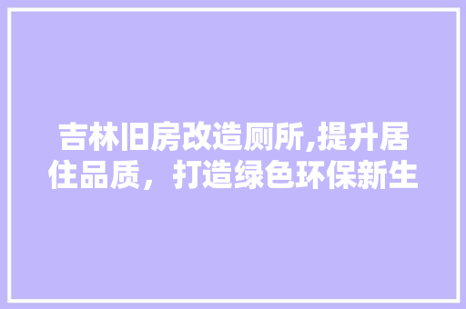 吉林旧房改造厕所,提升居住品质，打造绿色环保新生活