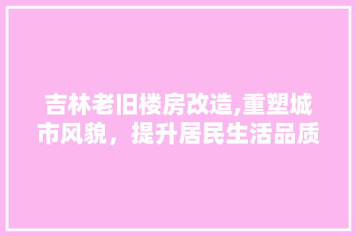 吉林老旧楼房改造,重塑城市风貌，提升居民生活品质