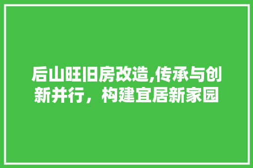 后山旺旧房改造,传承与创新并行，构建宜居新家园