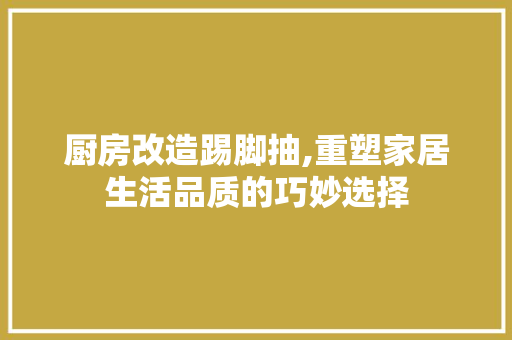 厨房改造踢脚抽,重塑家居生活品质的巧妙选择