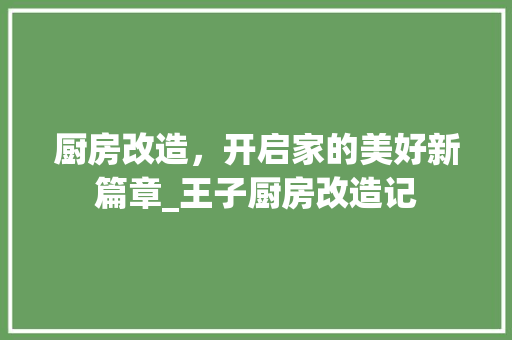 厨房改造，开启家的美好新篇章_王子厨房改造记