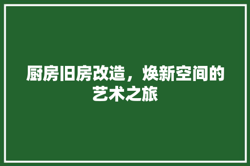 厨房旧房改造，焕新空间的艺术之旅