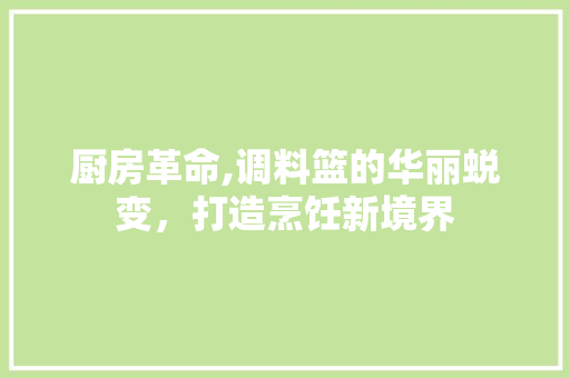 厨房革命,调料篮的华丽蜕变，打造烹饪新境界